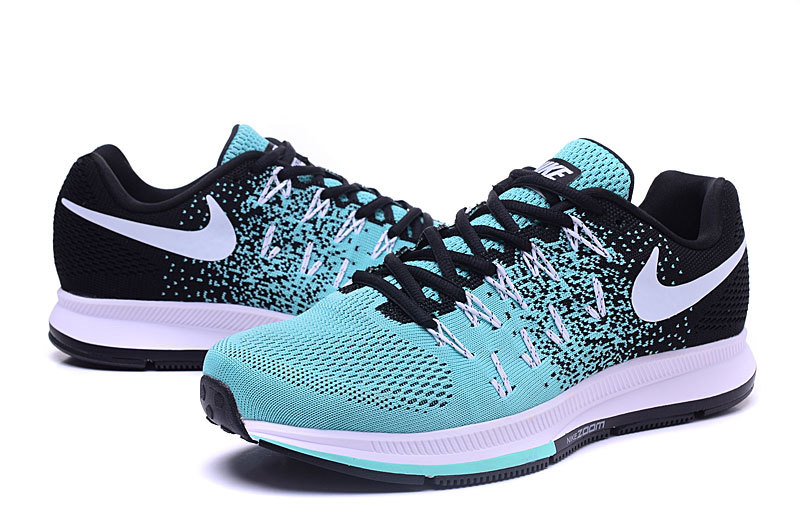 chaussure nike pegasus homme